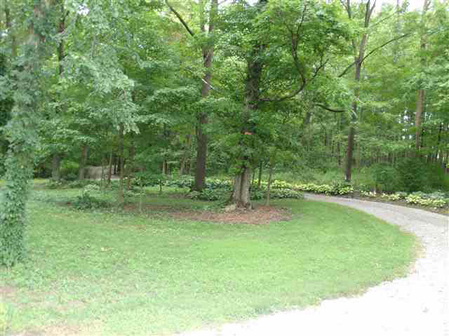 2695 County Road 3, Corunna, IN 46730 photo 2