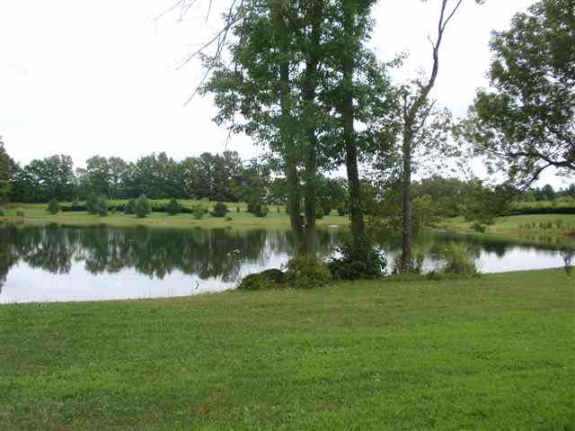 2695 County Road 3, Corunna, IN 46730 photo 25