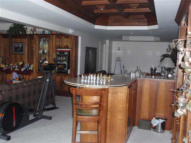 2695 County Road 3, Corunna, IN 46730 photo 20