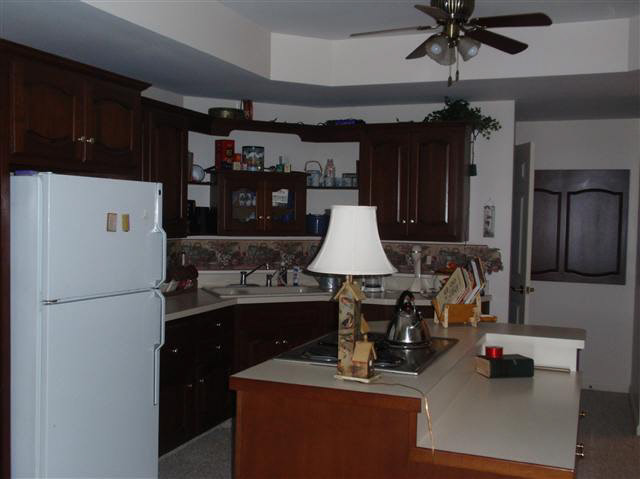 2695 County Road 3, Corunna, IN 46730 photo 19