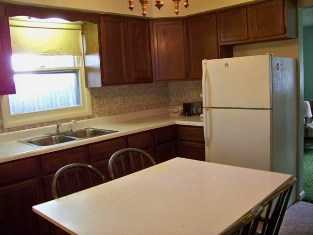 105 E Sunset Dr, Bourbon, IN 46504 photo 4