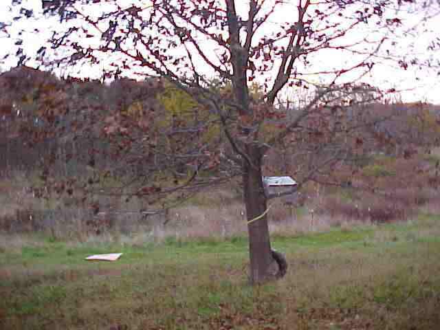 3133 E Rookstool Rd, Syracuse, IN 46567 photo 5