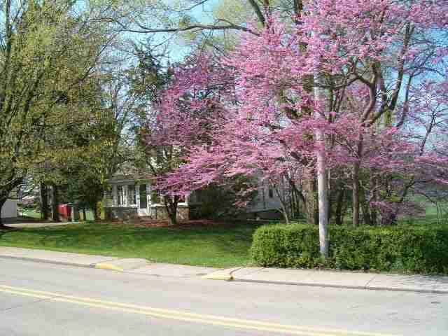 840 S Union St, Warsaw, IN 46580 photo 18