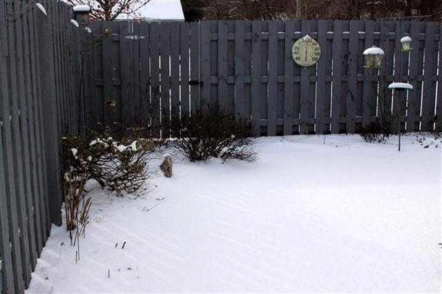 406 Crystal Valley Dr UNIT 2, Middlebury, IN 46540 photo 22