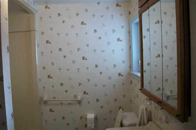 707 W Portland St, Syracuse, IN 46567 photo 13