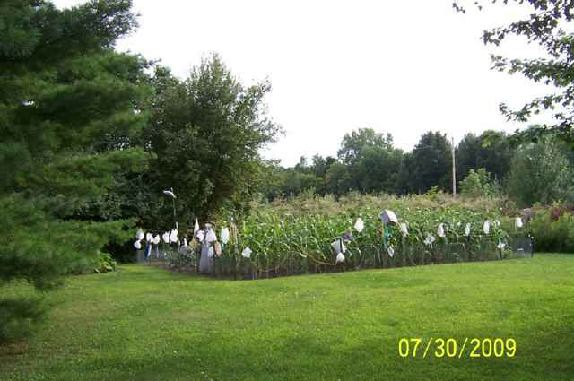 3350 E 700 S, Claypool, IN 46510 photo 7