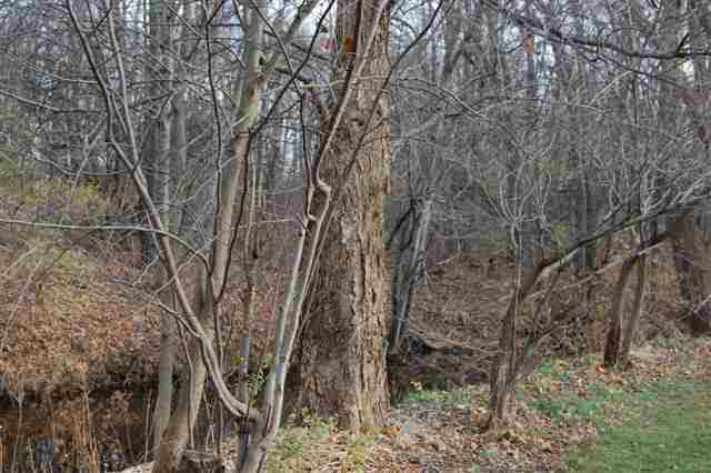 2216 S Southwood Dr, Warsaw, IN 46580 photo 21