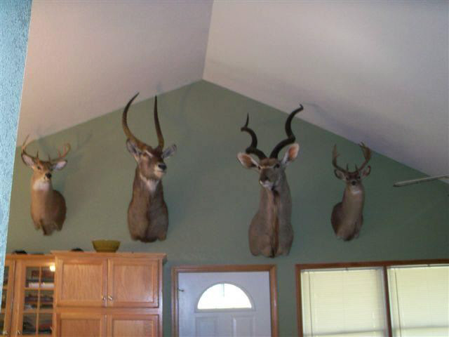 8454 E Hatchery Rd, Syracuse, IN 46567 photo 19