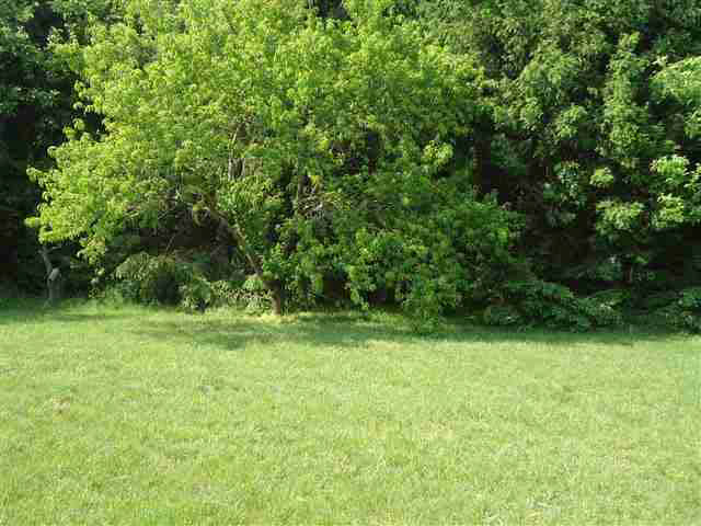3397 S 575 E, Pierceton, IN 46562 photo 11