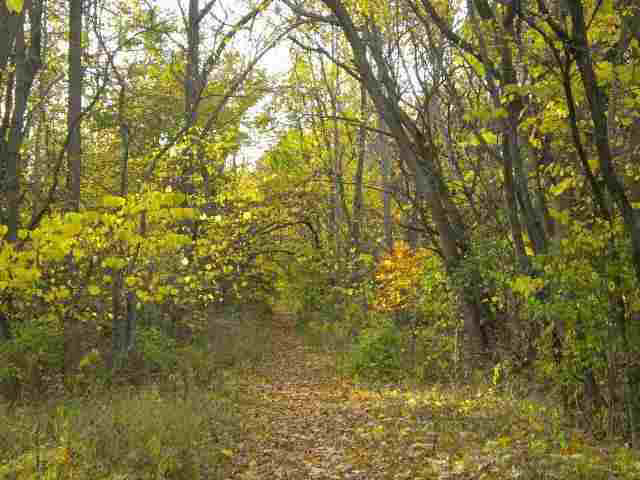 1007 Sara Dr, Winona Lake, IN 46590 photo 13