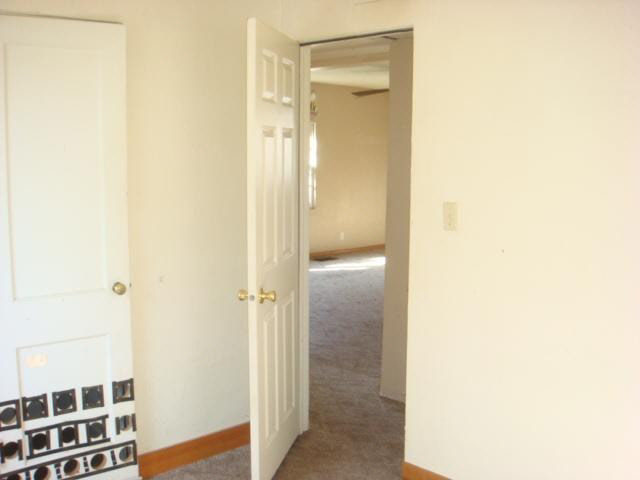 56644 Crescent Dr, Osceola, IN 46561 photo 8