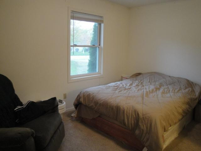 1124 Franklin St, Nappanee, IN 46550 photo 8