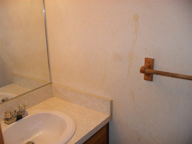 53272 Spring, Granger, IN 46530 photo 8