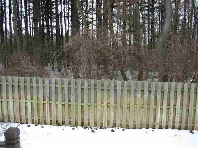 3607 Beechwood Ct, Elkhart, IN 46514 photo 12