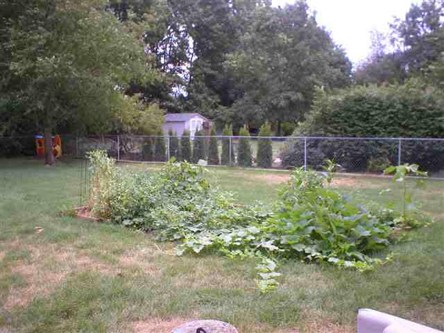 53520 Sweetspire Trl, Elkhart, IN 46516 photo 17