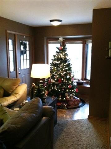 507 S Madison St, Nappanee, IN 46550 photo 19