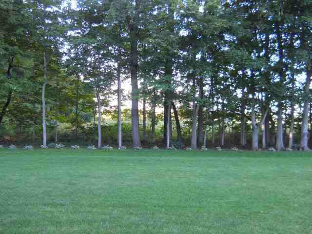 2503 Tulip Blvd, Goshen, IN 46526 photo 19