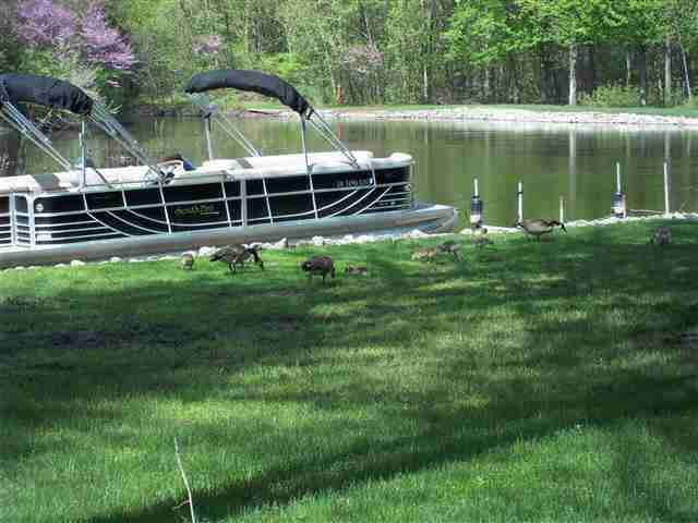 3573 Bridgetown Rd, Bristol, IN 46507 photo 6