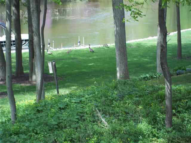 3573 Bridgetown Rd, Bristol, IN 46507 photo 28
