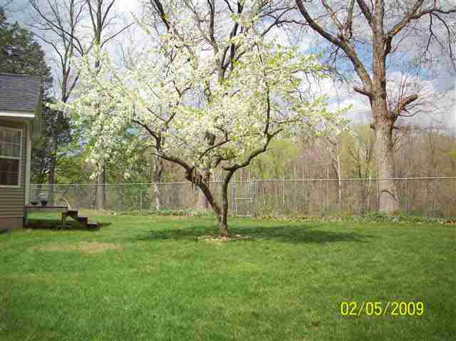 51243 Antone, Bristol, IN 46507 photo 21