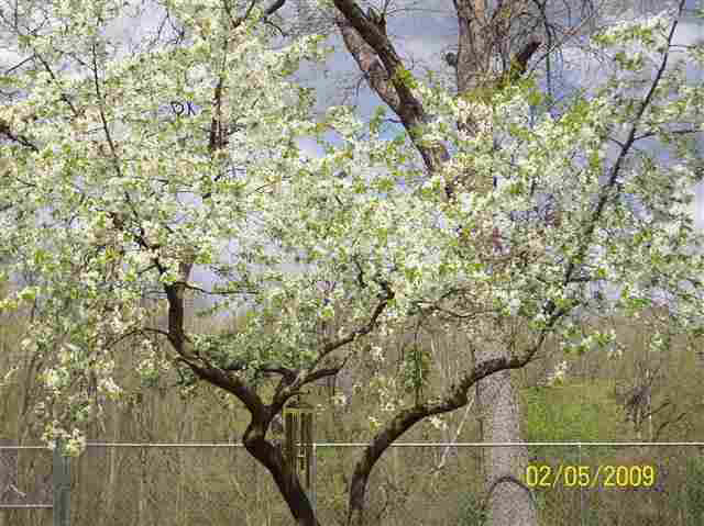 51243 Antone, Bristol, IN 46507 photo 19