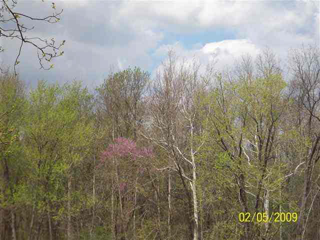 51243 Antone, Bristol, IN 46507 photo 14