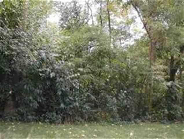 51243 Antone, Bristol, IN 46507 photo 18