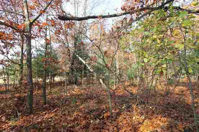 10577 Cr 4, Middlebury, IN 46540 photo 8
