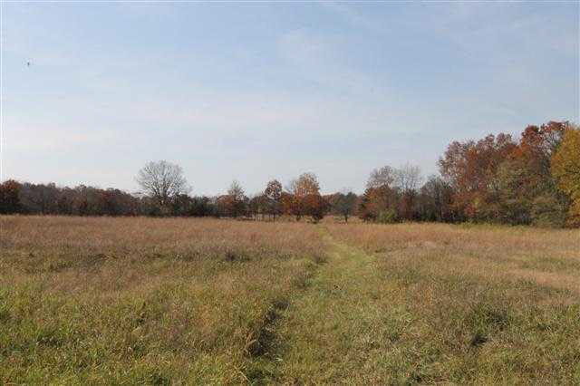 10577 Cr 4, Middlebury, IN 46540 photo 16