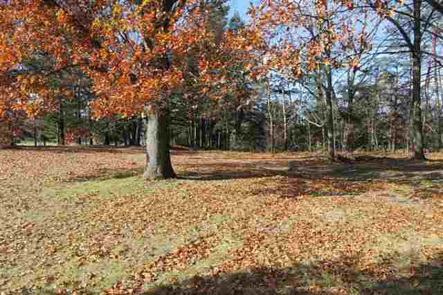 10577 Cr 4, Middlebury, IN 46540 photo 6