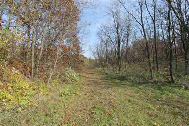 10577 Cr 4, Middlebury, IN 46540 photo 7
