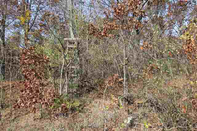10577 Cr 4, Middlebury, IN 46540 photo 25