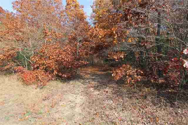 10577 Cr 4, Middlebury, IN 46540 photo 24