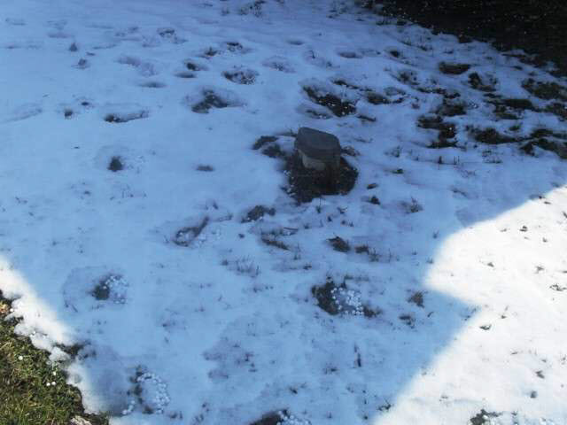 14555 Kern Rd, Mishawaka, IN 46544 photo 4