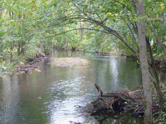 54772 Cr 8, Middlebury, IN 46540 photo 18