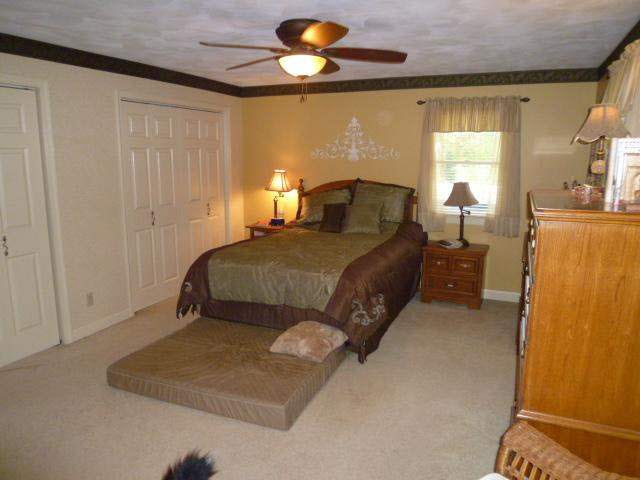 54772 Cr 8, Middlebury, IN 46540 photo 24