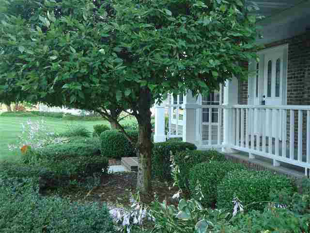 53441 Monterey Dr, Bristol, IN 46507 photo 24