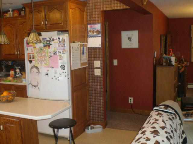 13628 Cr 8, Middlebury, IN 46540 photo 8