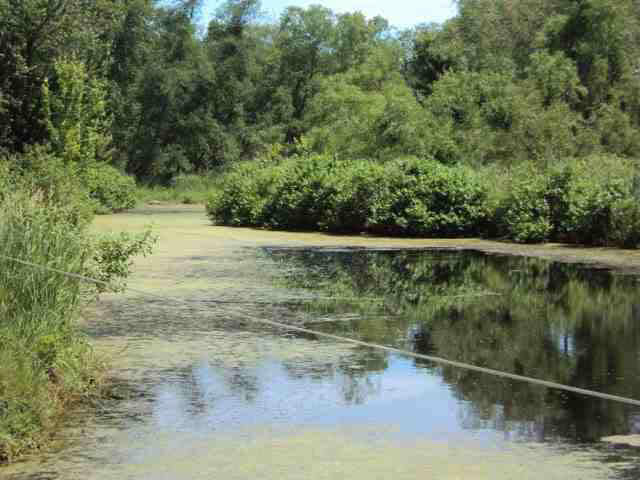 5335 S 075 W, Wolcottville, IN 46795 photo 16