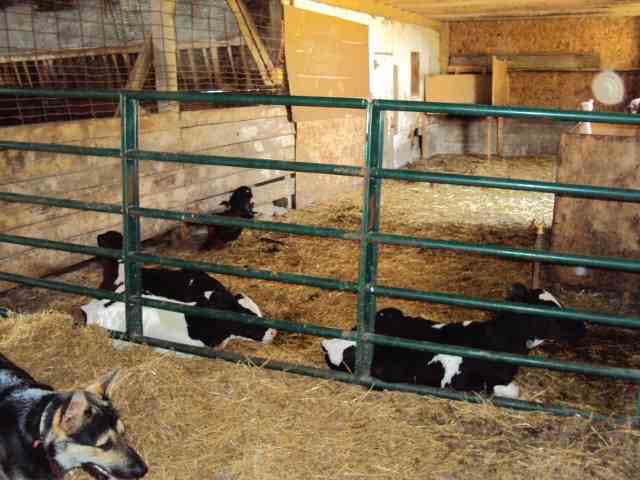 5335 S 075 W, Wolcottville, IN 46795 photo 14
