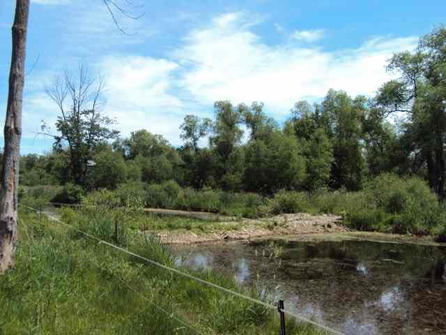 5335 S 075 W, Wolcottville, IN 46795 photo 17
