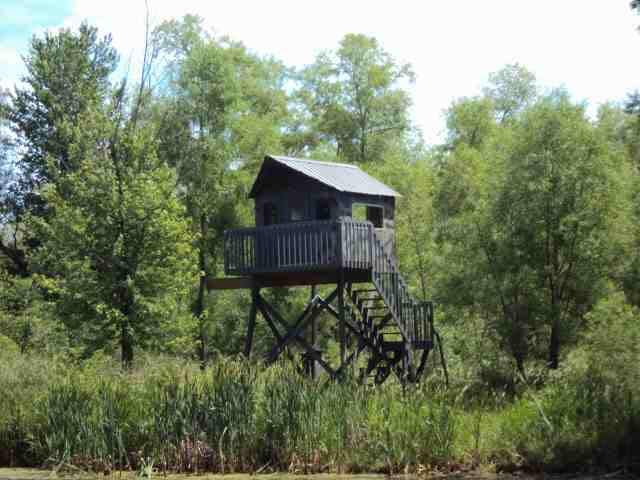 5335 S 075 W, Wolcottville, IN 46795 photo 19