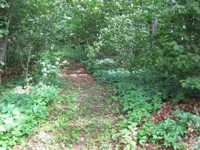 11744 Cr 2, Middlebury, IN 46540 photo 21