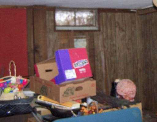 55729 Ash Rd, Osceola, IN 46561 photo 12