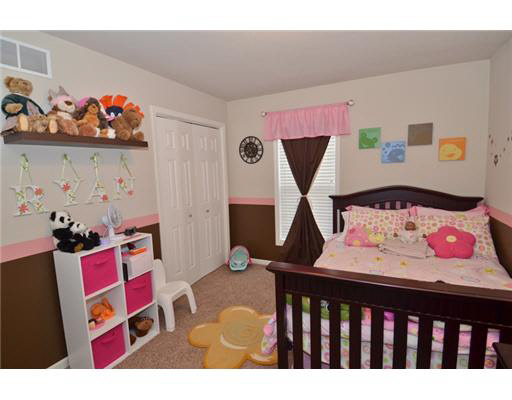 509 Sky Valley Ct, Osceola, IN 46561 photo 14