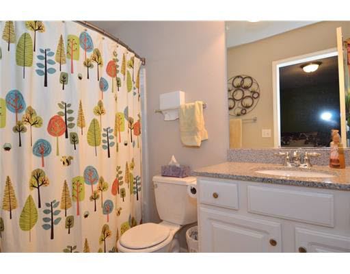 509 Sky Valley Ct, Osceola, IN 46561 photo 11