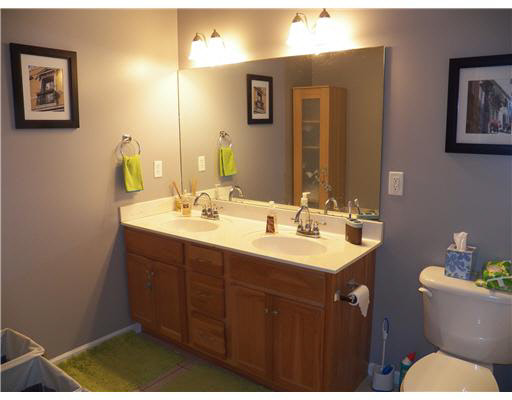 23306 Breezy Willow Trl, South Bend, IN 46628 photo 13