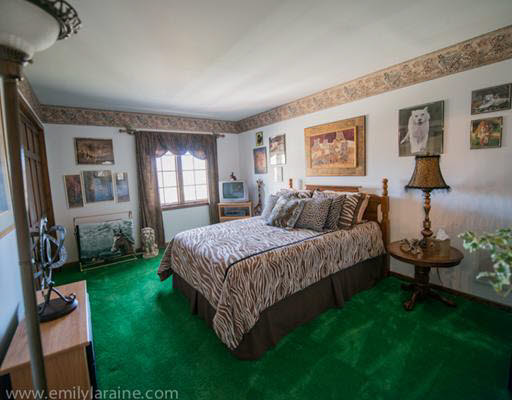 10433 Snowy Owl Ct, Granger, IN 46530 photo 11