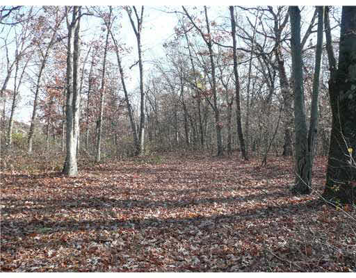 57424 Pear Rd, South Bend, IN 46619 photo 7