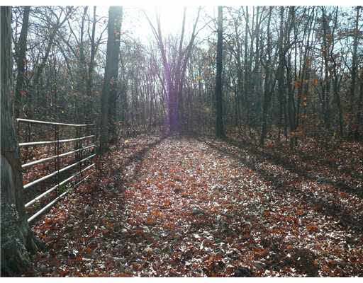57424 Pear Rd, South Bend, IN 46619 photo 8